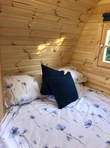 Pen Y Buarth Pod - Caravan Site Caernarfon Ngoại thất bức ảnh